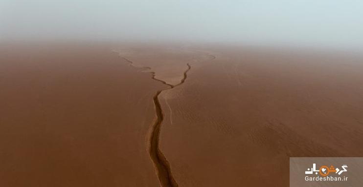 تنگه زبان مار را بیشتر بشناسید