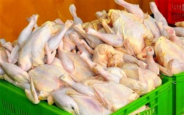 چرا مرغ دوباره پر کشید؟ چرا مرغ دوباره پر کشید؟