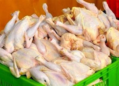 چرا مرغ دوباره پر کشید؟