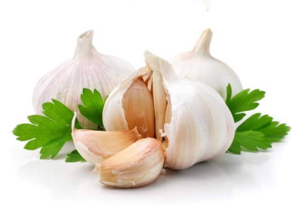 با اثرات خوردن سیر در دوران بارداری آشنا شوید با اثرات خوردن سیر در دوران بارداری آشنا شوید