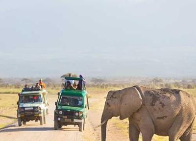 زیباترین پارک های ملی تانزانیا